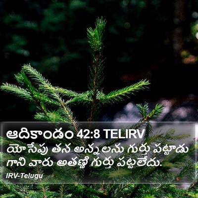 ఆదికాండం 42:8 TELIRV Bible Verse Image