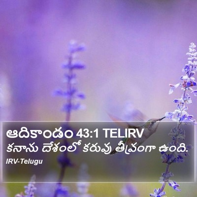 ఆదికాండం 43:1 TELIRV Bible Verse Image
