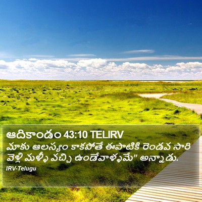 ఆదికాండం 43:10 TELIRV Bible Verse Image
