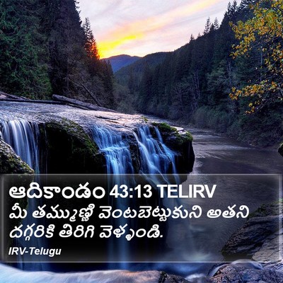 ఆదికాండం 43:13 TELIRV Bible Verse Image