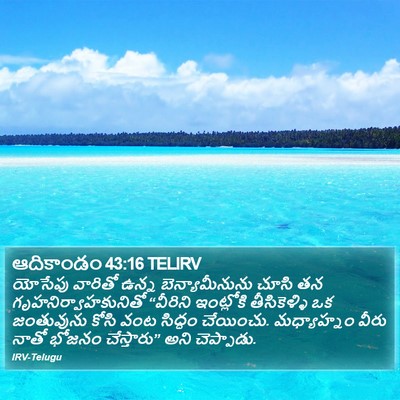 ఆదికాండం 43:16 TELIRV Bible Verse Image