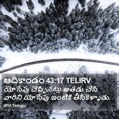 ఆదికాండం 43:17 TELIRV Bible Verse Image
