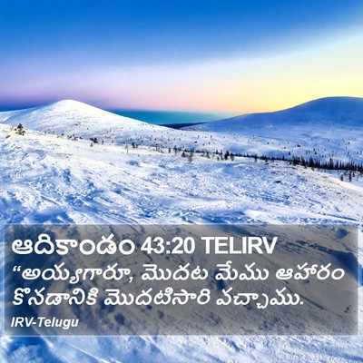 ఆదికాండం 43:20 TELIRV Bible Verse Image