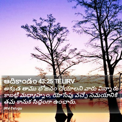 ఆదికాండం 43:25 TELIRV Bible Verse Image