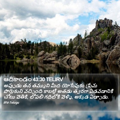 ఆదికాండం 43:30 TELIRV Bible Verse Image