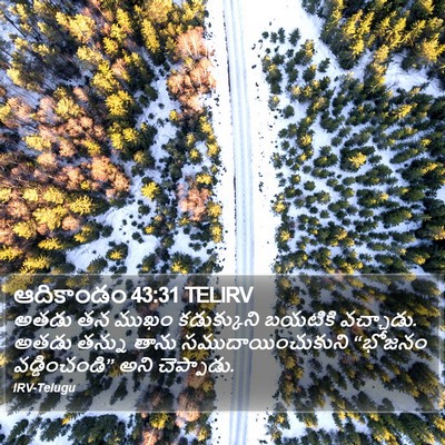 ఆదికాండం 43:31 TELIRV Bible Verse Image