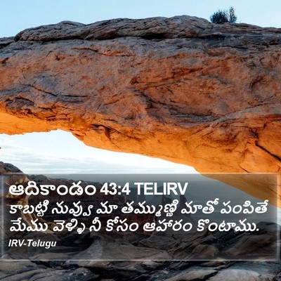 ఆదికాండం 43:4 TELIRV Bible Verse Image