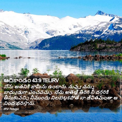 ఆదికాండం 43:9 TELIRV Bible Verse Image