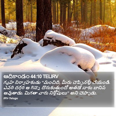 ఆదికాండం 44:10 TELIRV Bible Verse Image