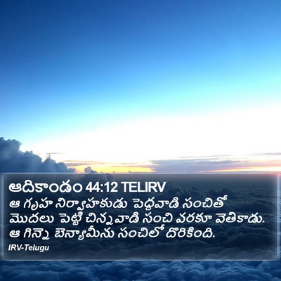 ఆదికాండం 44:12 TELIRV Bible Verse Image