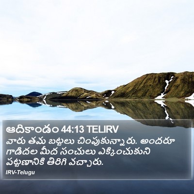 ఆదికాండం 44:13 TELIRV Bible Verse Image