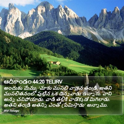 ఆదికాండం 44:20 TELIRV Bible Verse Image