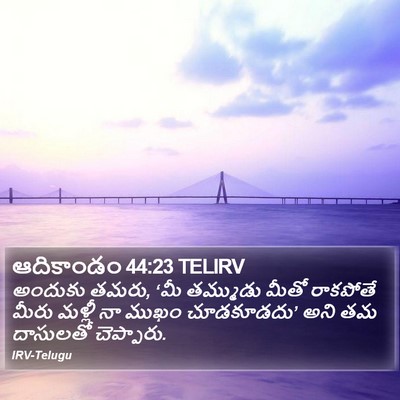 ఆదికాండం 44:23 TELIRV Bible Verse Image