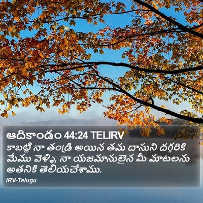 ఆదికాండం 44:24 TELIRV Bible Verse Image