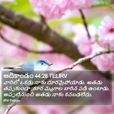 ఆదికాండం 44:28 TELIRV Bible Verse Image