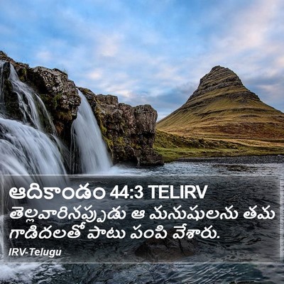 ఆదికాండం 44:3 TELIRV Bible Verse Image