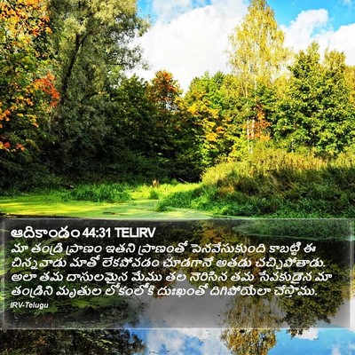 ఆదికాండం 44:31 TELIRV Bible Verse Image