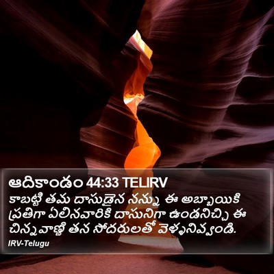 ఆదికాండం 44:33 TELIRV Bible Verse Image
