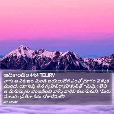 ఆదికాండం 44:4 TELIRV Bible Verse Image