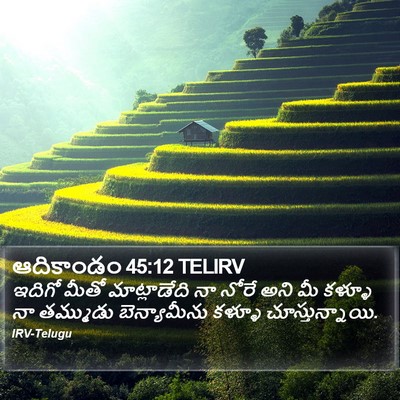 ఆదికాండం 45:12 TELIRV Bible Verse Image