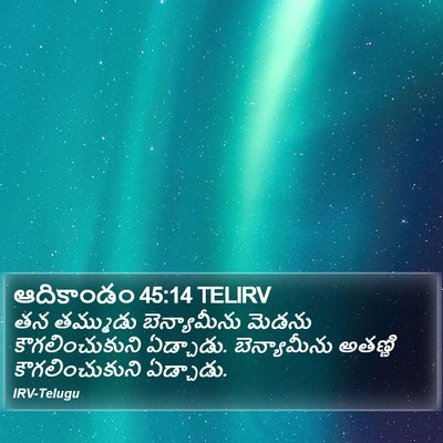 ఆదికాండం 45:14 TELIRV Bible Verse Image