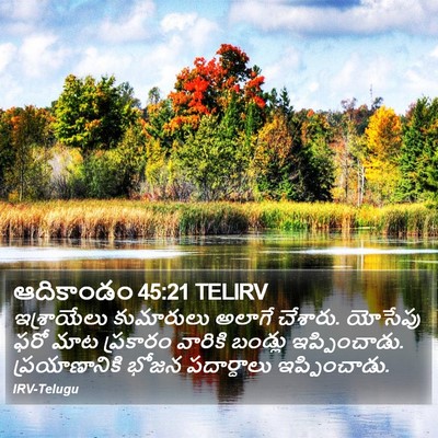 ఆదికాండం 45:21 TELIRV Bible Verse Image
