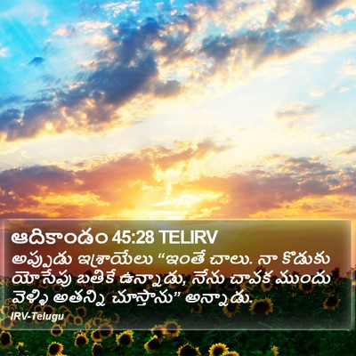 ఆదికాండం 45:28 TELIRV Bible Verse Image