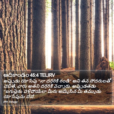 ఆదికాండం 45:4 TELIRV Bible Verse Image