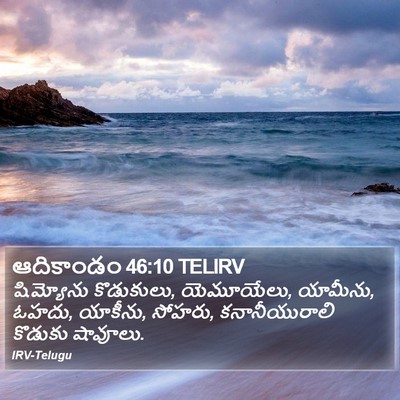 ఆదికాండం 46:10 TELIRV Bible Verse Image