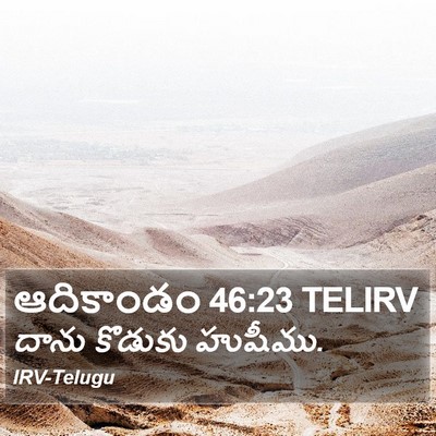 ఆదికాండం 46:23 TELIRV Bible Verse Image