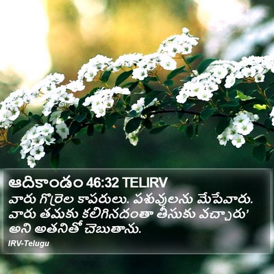 ఆదికాండం 46:32 TELIRV Bible Verse Image