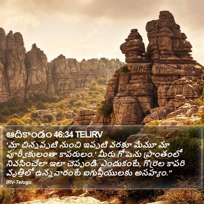 ఆదికాండం 46:34 TELIRV Bible Verse Image