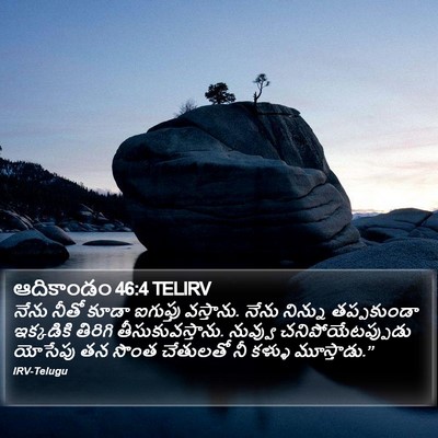 ఆదికాండం 46:4 TELIRV Bible Verse Image