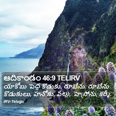 ఆదికాండం 46:9 TELIRV Bible Verse Image