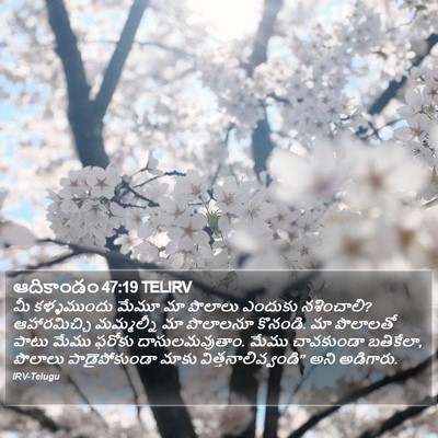 ఆదికాండం 47:19 TELIRV Bible Verse Image
