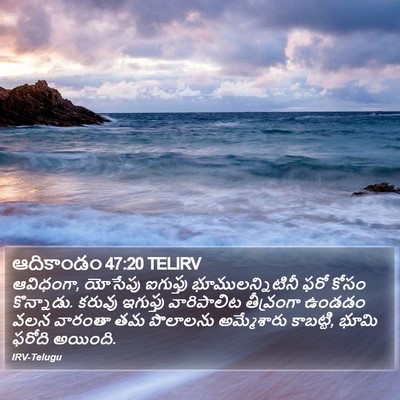 ఆదికాండం 47:20 TELIRV Bible Verse Image