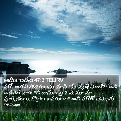 ఆదికాండం 47:3 TELIRV Bible Verse Image