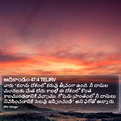ఆదికాండం 47:4 TELIRV Bible Verse Image