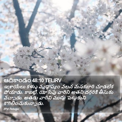 ఆదికాండం 48:10 TELIRV Bible Verse Image