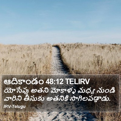 ఆదికాండం 48:12 TELIRV Bible Verse Image
