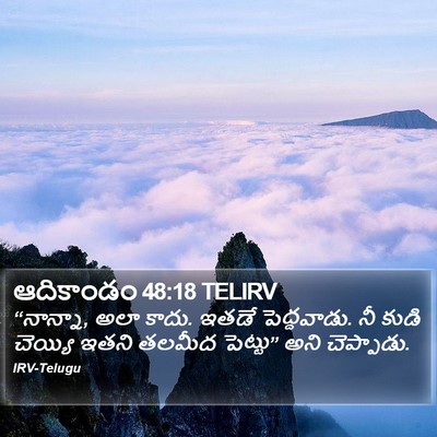 ఆదికాండం 48:18 TELIRV Bible Verse Image