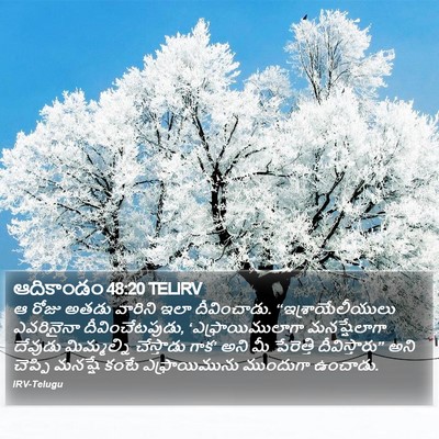 ఆదికాండం 48:20 TELIRV Bible Verse Image