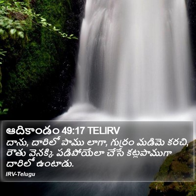 ఆదికాండం 49:17 TELIRV Bible Verse Image