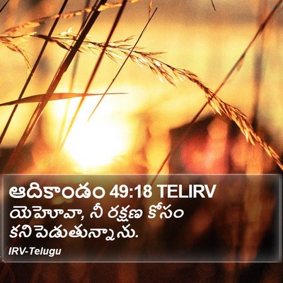 ఆదికాండం 49:18 TELIRV Bible Verse Image