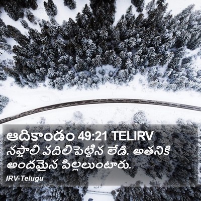 ఆదికాండం 49:21 TELIRV Bible Verse Image