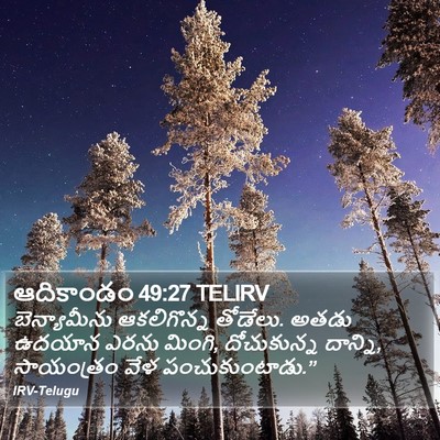 ఆదికాండం 49:27 TELIRV Bible Verse Image
