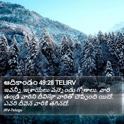ఆదికాండం 49:28 TELIRV Bible Verse Image