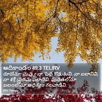 ఆదికాండం 49:3 TELIRV Bible Verse Image