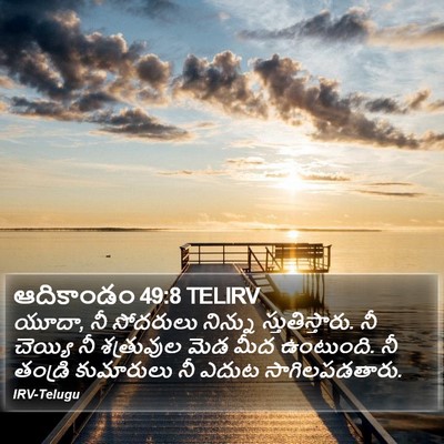 ఆదికాండం 49:8 TELIRV Bible Verse Image