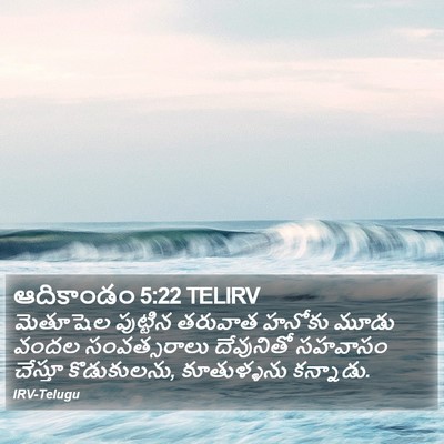 ఆదికాండం 5:22 TELIRV Bible Verse Image